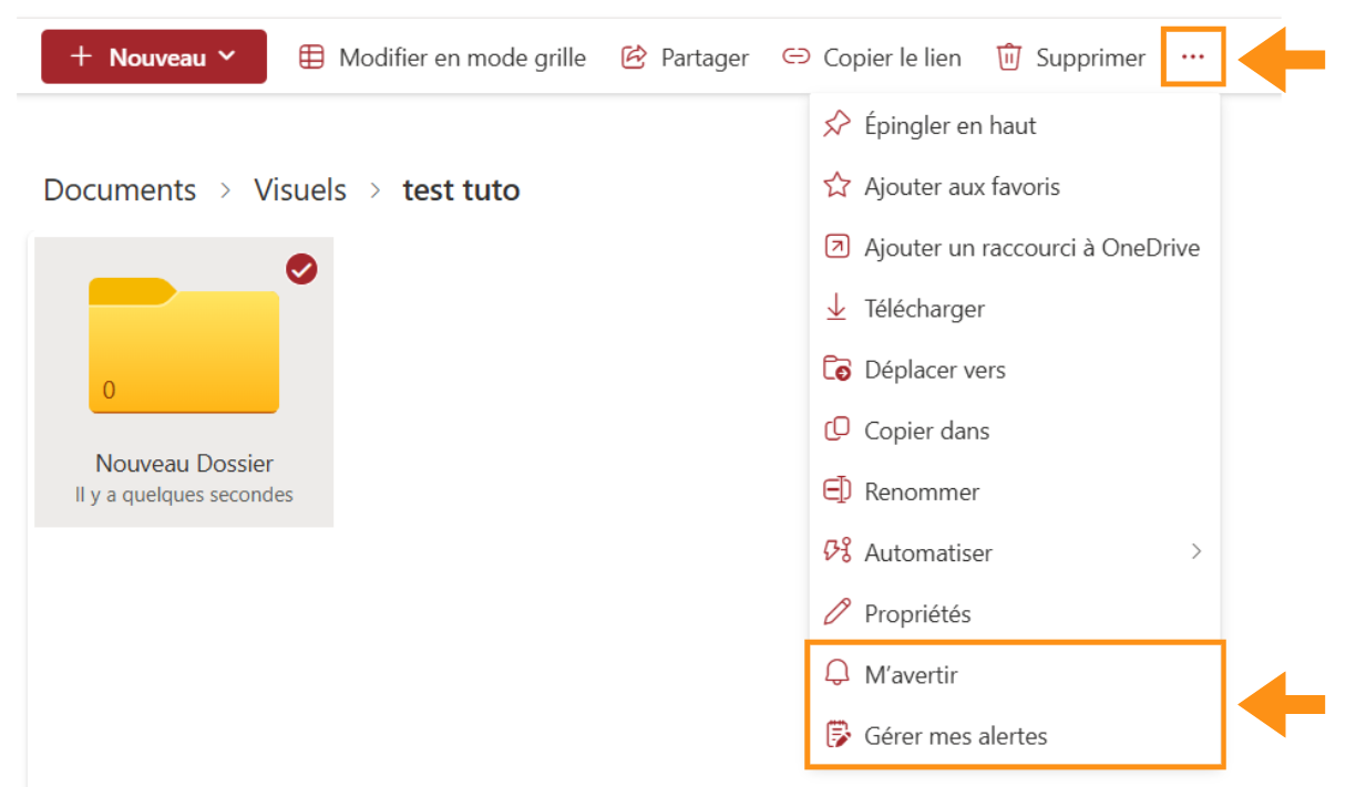Copie d'écran montrant où se trouve la section Insertion dans Word