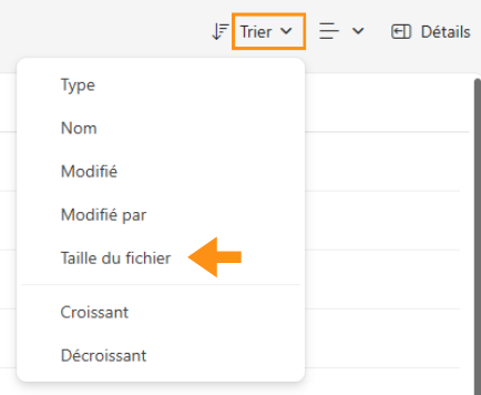 Copie d'écran montrant où se trouve la section Insertion dans Word