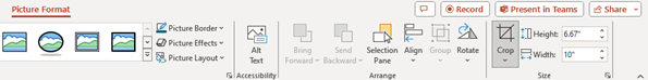 Using the 'Crop' feature under 'Picture Format' in PowerPoint